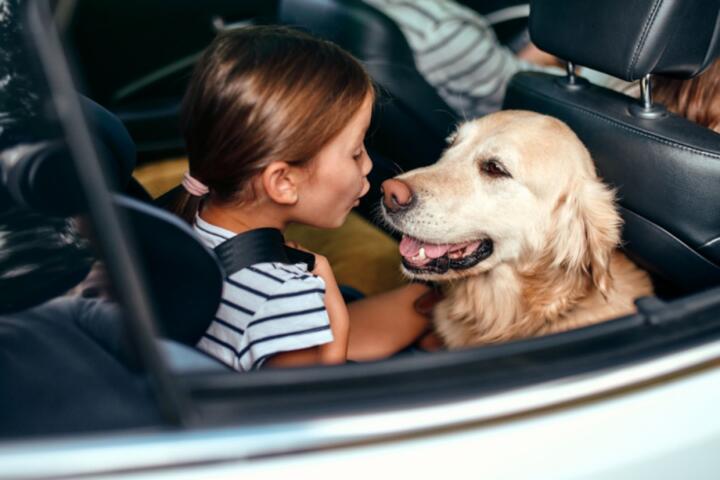 The Most Durable Car Interiors for Families with Pets and Kids